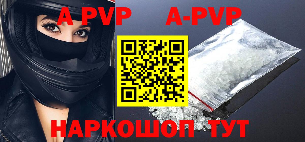 A-PVP СК КРИС Петропавловск-Камчатский